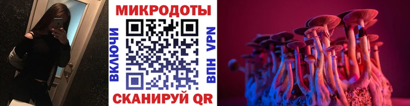 где можно купить   Черкесск  дарк нет официальный сайт  Галлюциногенные грибы мухоморы 