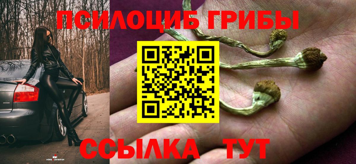 Черкесск  Псилоцибиновые грибы GOLDEN TEACHER  Вход с VPN 